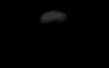 Zskull1
